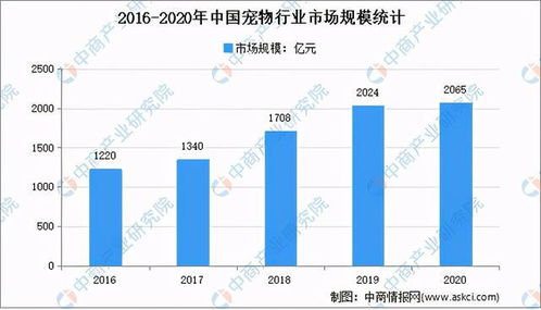 2021年中国宠物行业存在的问题及发展前景预测分析